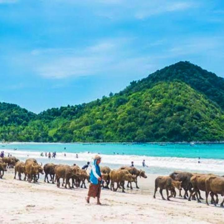 Sakila Homestay Kuta  Extérieur photo